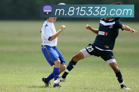 yabo体育服务体系